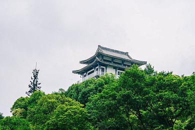 传微软将携《光环》等游戏全力支持全新NS2主机